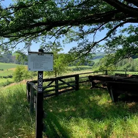 Vakantiehuis Am Oberen Berge Willingen Schweinsbuhl
