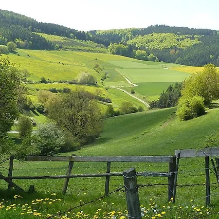 Vakantiehuis Am Oberen Berge Willingen Schweinsbuhl